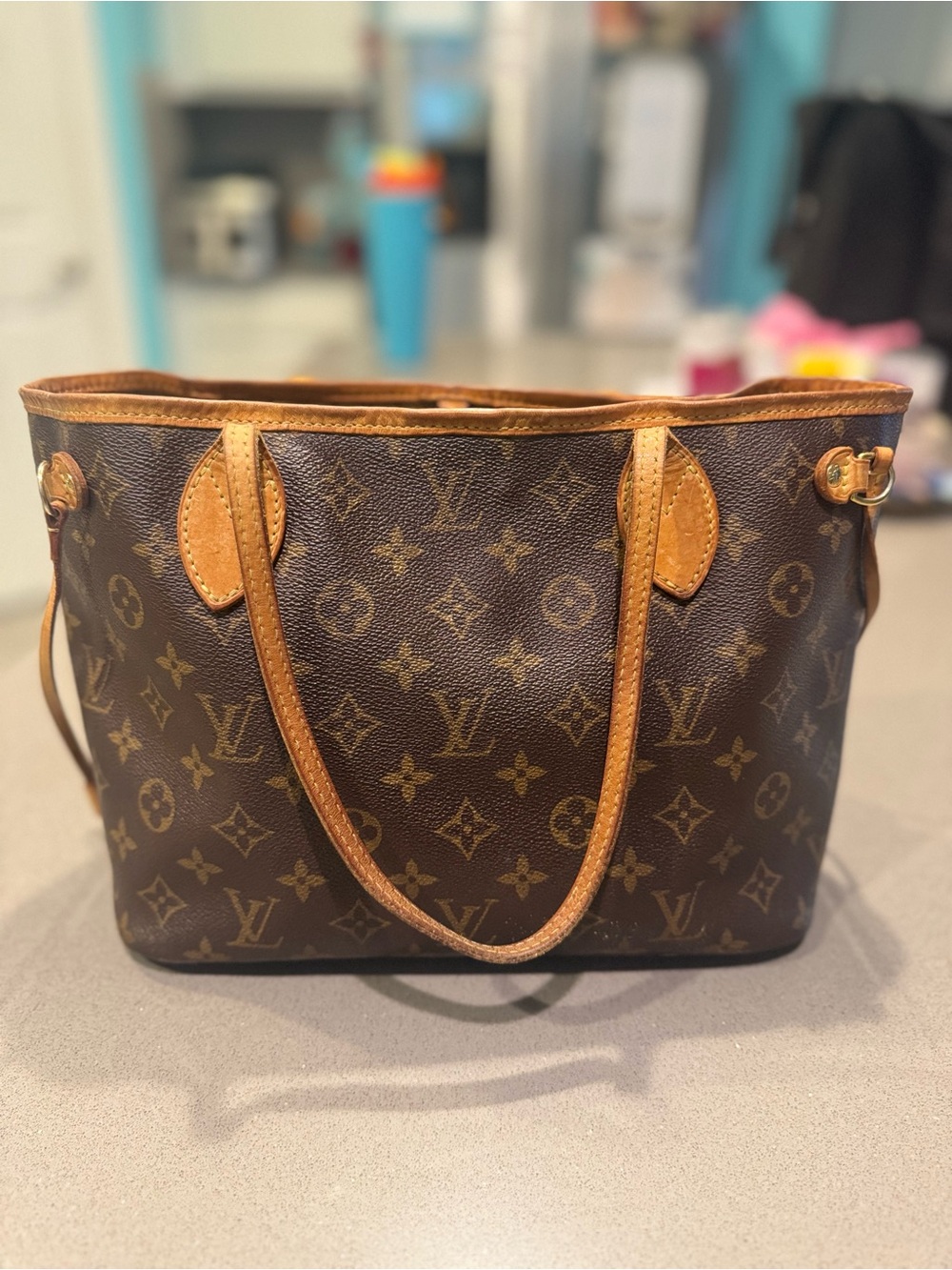 Louis Vuitton Monogram Neverfull PM